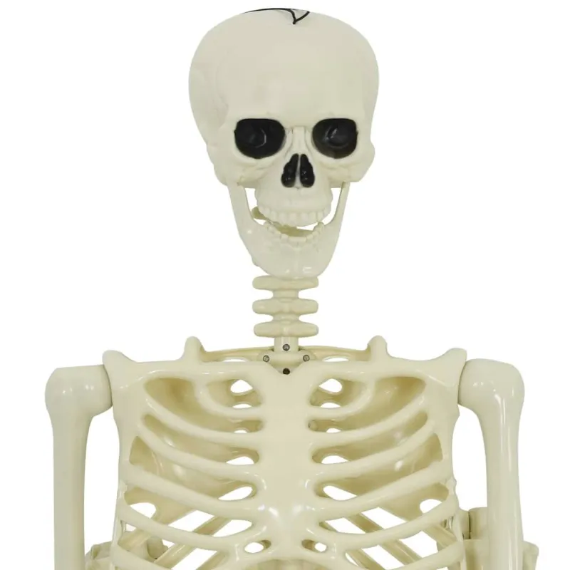 Helovino puošmena -skeletas 2 pcs Balta Polipropilenas