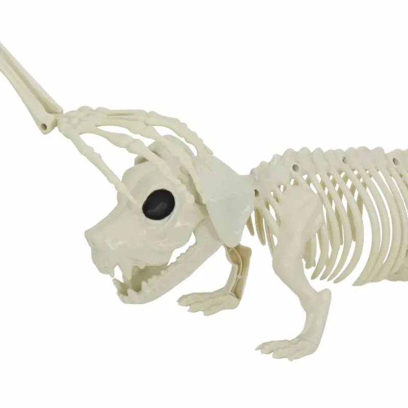 Helovino puošmena -skeletas 2 pcs Balta Polipropilenas