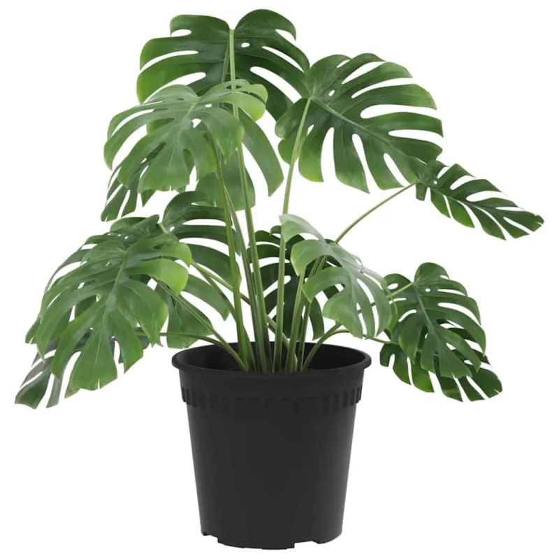 Apvalus gėlių vazonas 24 pcs Juoda Ø 17 x 14 cm Plastmasė