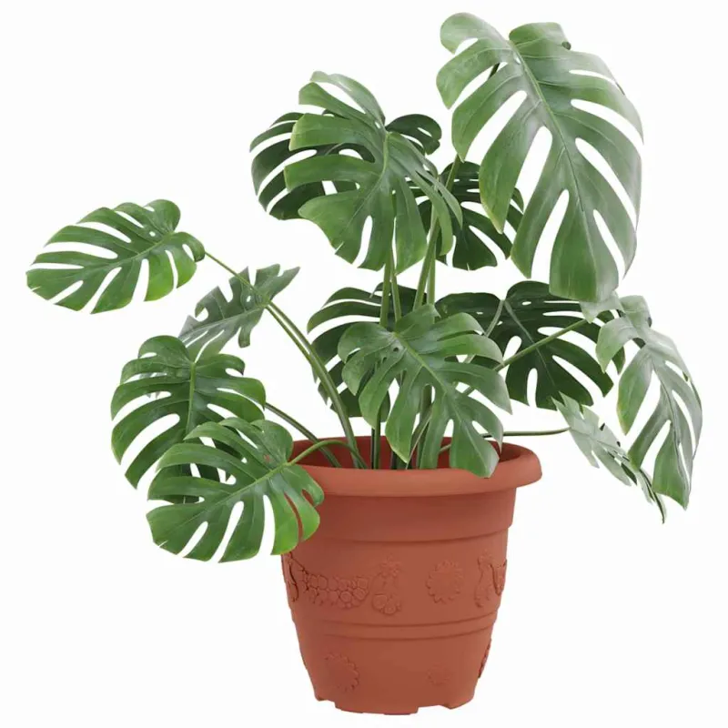 Apvalus gėlių vazonas 24 pcs Raudona plyta Ø 22 x 18 cm