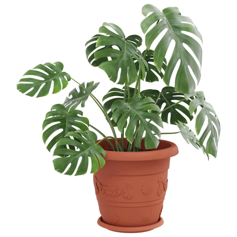 Apvalus gėlių padėklas 6 pcs Raudona plyta Ø 23,5 x 2,5 cm