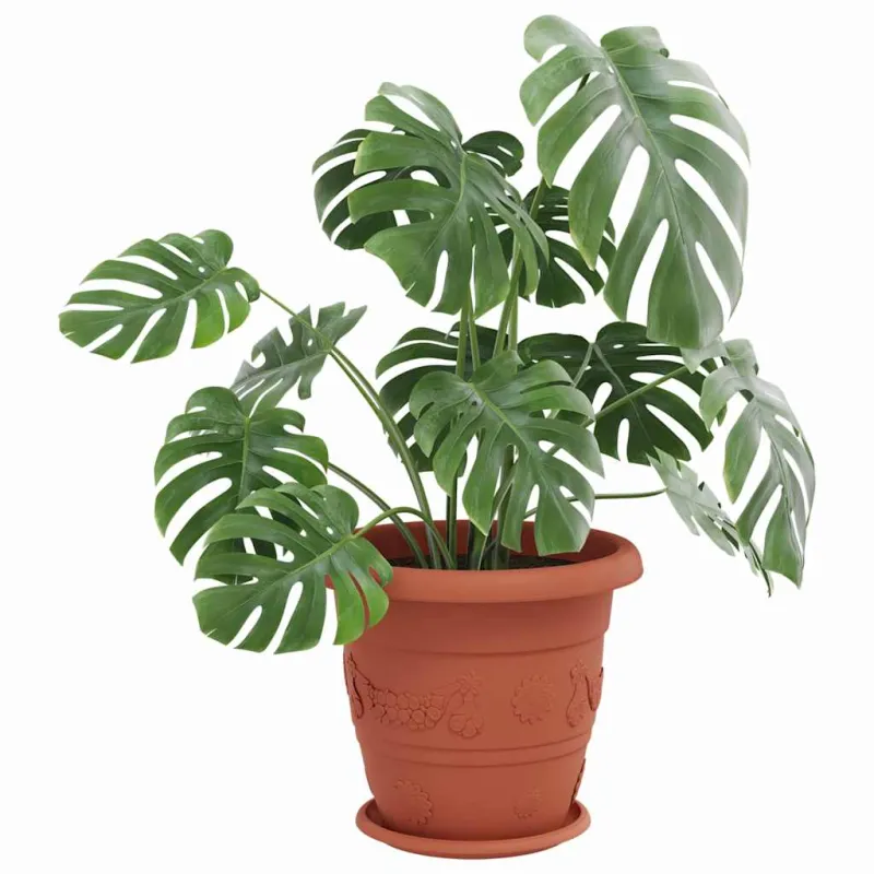 Apvalus gėlių padėklas 24 pcs Raudona plyta Ø 27 x 2,5 cm