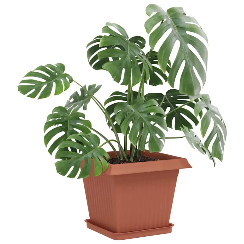 Kvadratinis gėlių padėklas 6 pcs Raudona plyta Plastmasė