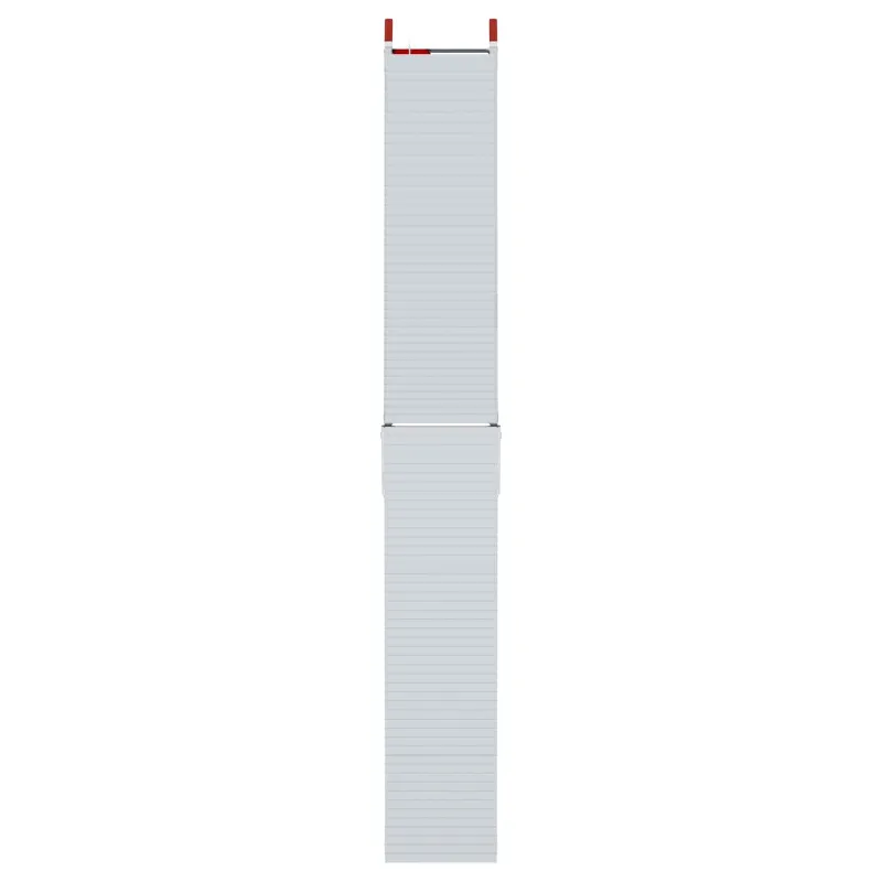 Motociklo rampos 680 kg 2 pcs Sidabro 205 x 28 x 5 cm Aliuminis