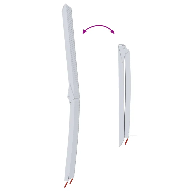 Motociklo rampos 680 kg 2 pcs Sidabro 205 x 28 x 5 cm Aliuminis