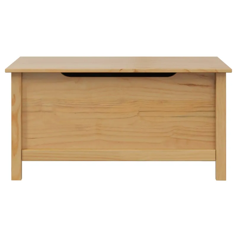 Saugojimo dėžė su saugykla HILL Medus ruda 90 x 40 x 45 cm