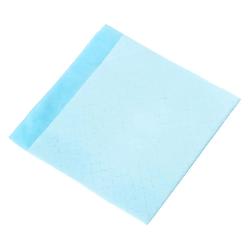Neaustinės medžiagos augintinių treniruočių pagalvėlė 50 pcs
