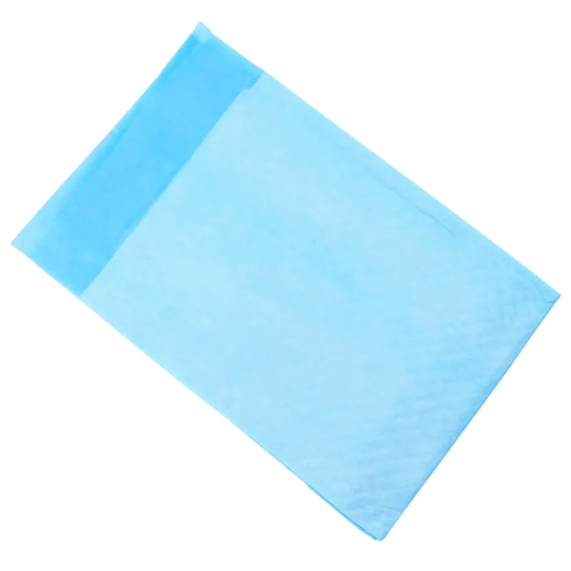 Neaustinės medžiagos augintinių treniruočių pagalvėlė 50 pcs