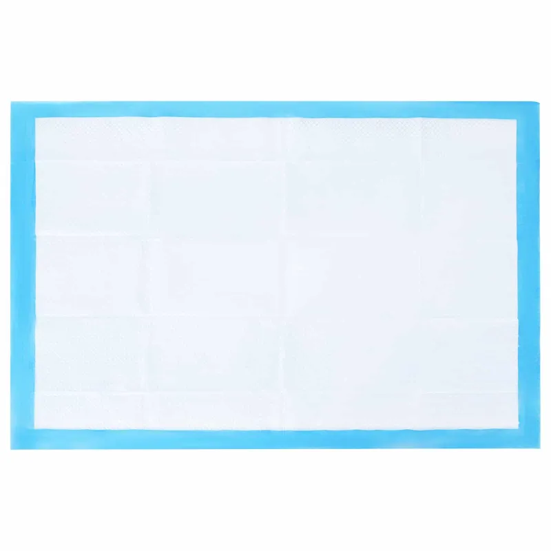 Neaustinės medžiagos augintinių treniruočių pagalvėlė 50 pcs