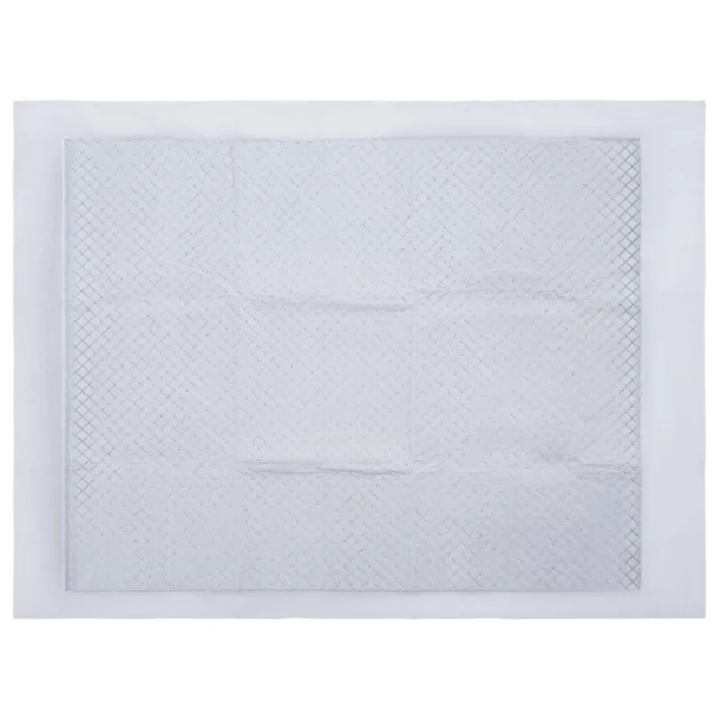 Neaustinės medžiagos augintinių treniruočių pagalvėlė 100 pcs