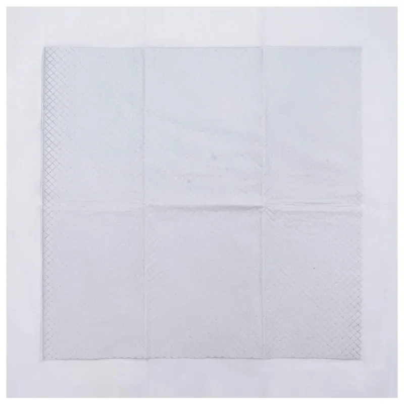 Neaustinės medžiagos augintinių treniruočių pagalvėlė 50 pcs