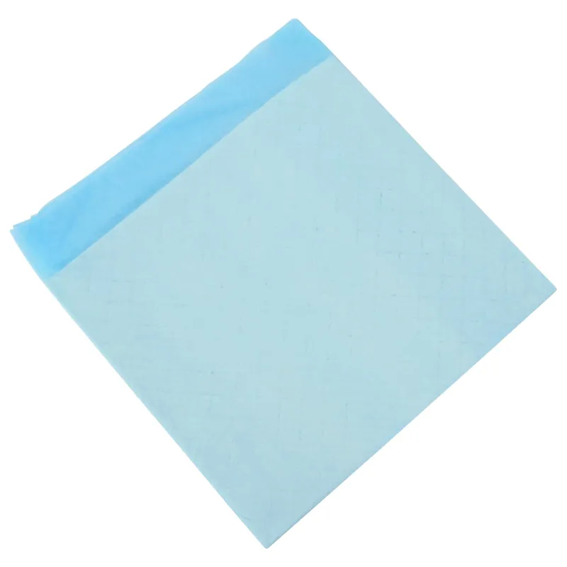 Neaustinės medžiagos augintinių treniruočių pagalvėlė 50 pcs