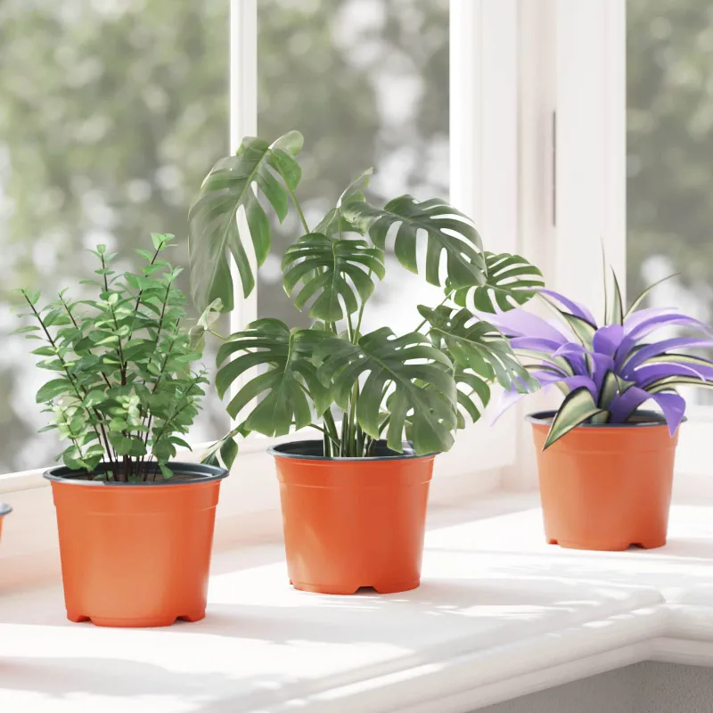 Apvalus gėlių vazonas 100 pcs Terakotos Ø 10 x 8 cm Plastmasė