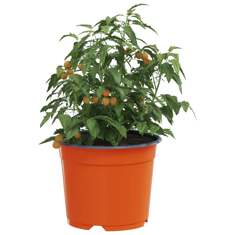 Apvalus gėlių vazonas 200 pcs Terakotos Ø 10 x 8 cm Plastmasė