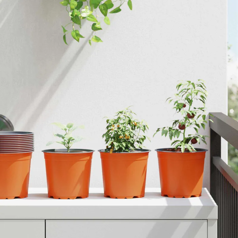 Gėlių vazonas 100 pcs Terakotos Ø 15 x 13 cm Plastmasė