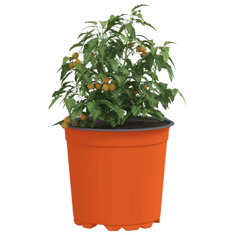 Gėlių vazonas 100 pcs Terakotos Ø 15 x 13 cm Plastmasė