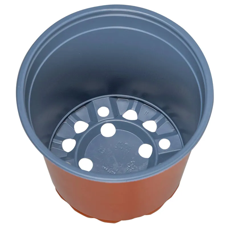 Gėlių vazonas 100 pcs Terakotos Ø 15 x 13 cm Plastmasė