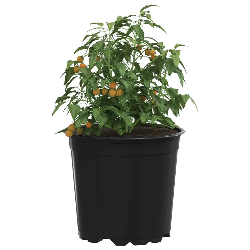 Gėlių vazonas 200 pcs Juoda Ø 15 x 13 cm Plastmasė