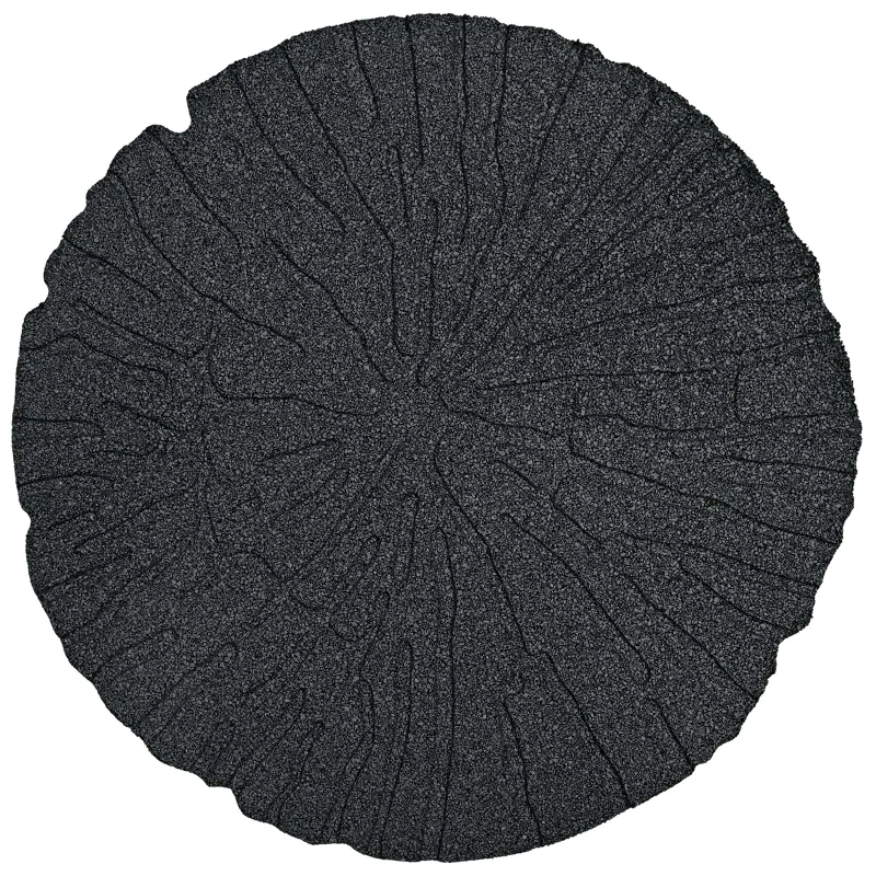 Žingsnių akmuo 6 pcs Juodas Ø 45 x 1,8 cm Guma