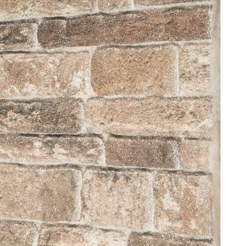 Sienų plokštės 10 pcs Įvairiaspalvis 100 x 50 cm EPS putos
