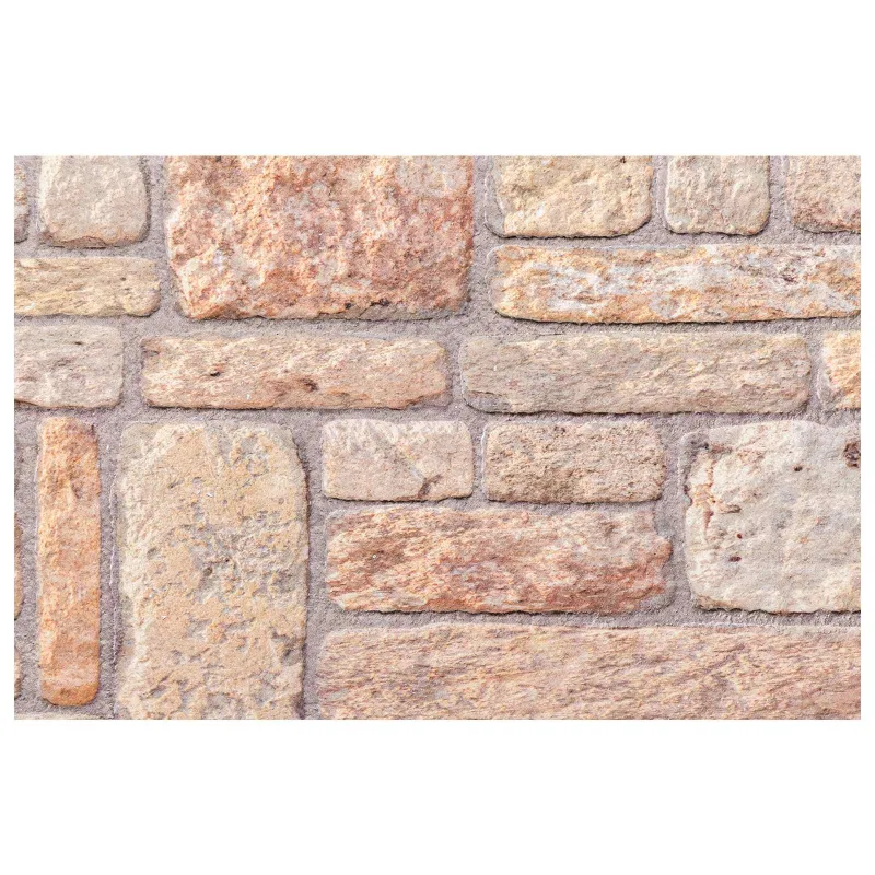 Sienų plokštės 10 pcs Šviesiai ruda ir balta 100 x 50 cm