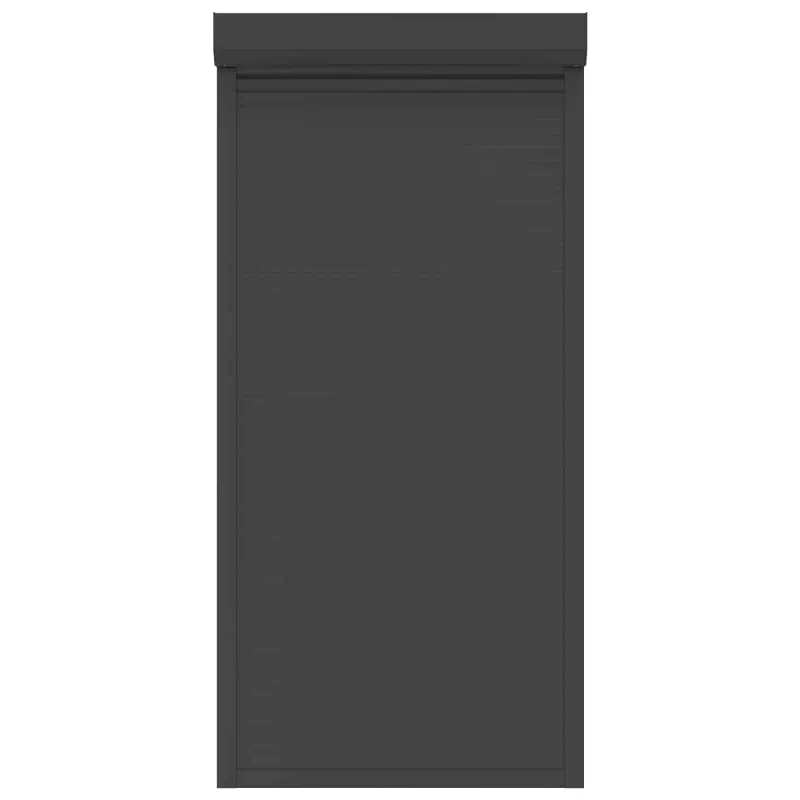 Ritinys uždangalas Antracitas 100 x 210 cm