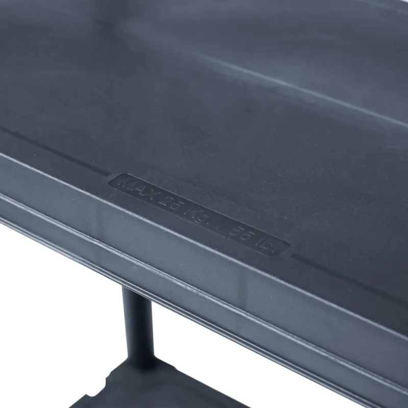 Sandėliavimo lentyna, juoda, 60x30x138cm, plastikas, 100kg