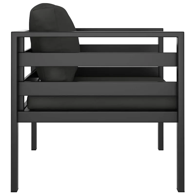 Vienvietė sofa su pagalvėlėmis, antracito spalvos, aliuminis