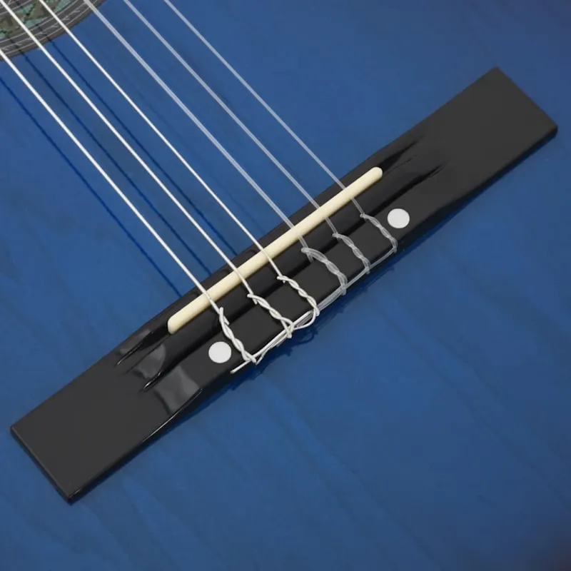 Klasikinė gitara pradedantiesiems, mėlyna, 4/4 39", liepa
