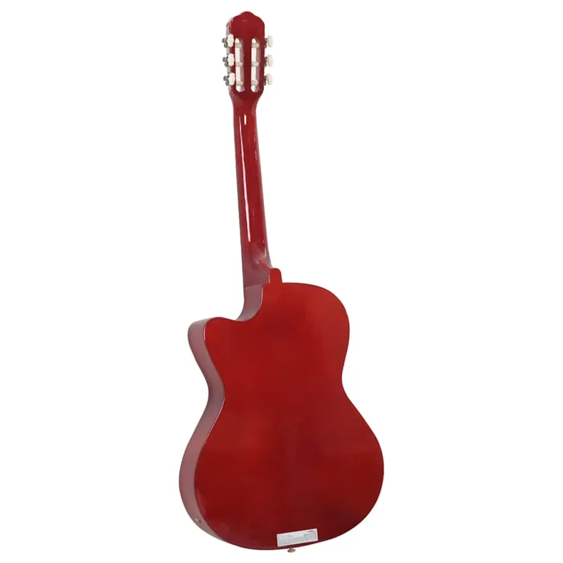 Klasikinė gitara su ekvalaizeriu ir 6 stygomis