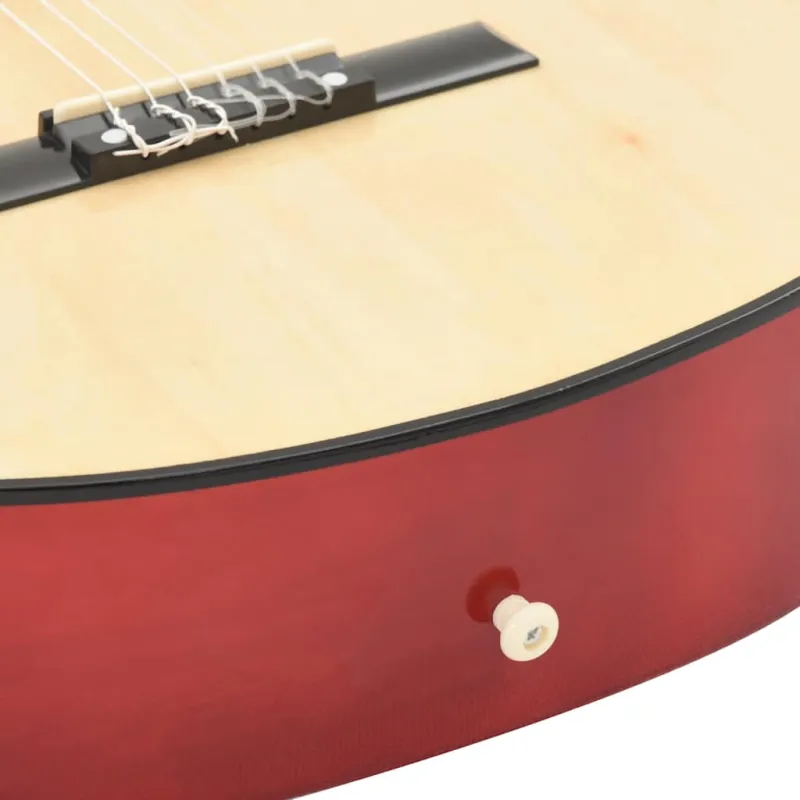 Klasikinė gitara su ekvalaizeriu ir 6 stygomis