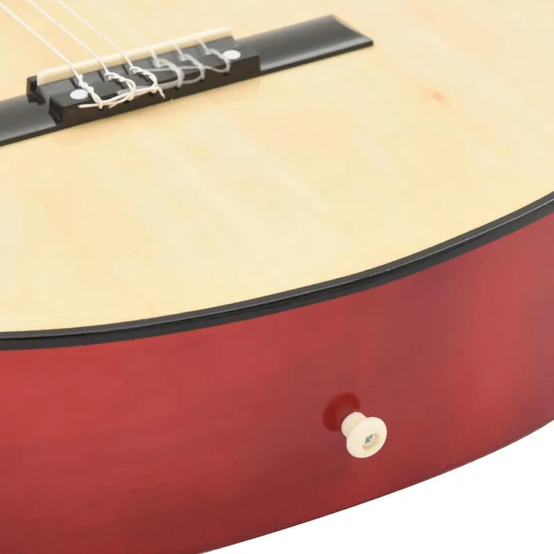 Gitaros rinkinys su ekvalaizeriu, 12 dalių, 6 stygos