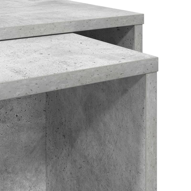 Kavos staliuko komplektas 2 pcs Betono pilka Apdirbta mediena