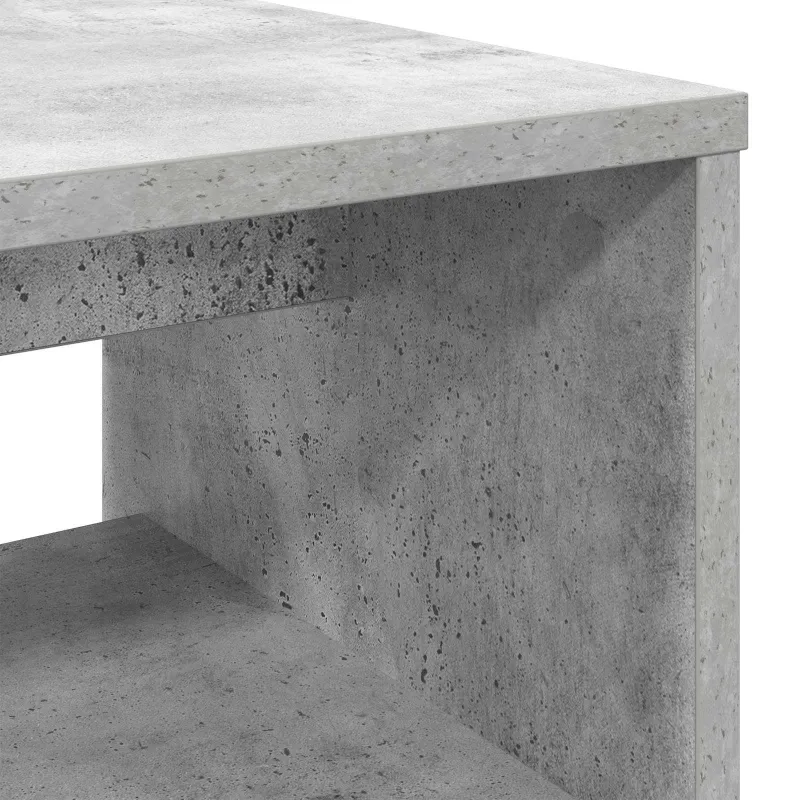Televizoriaus spintelė Betono pilka 80 x 35 x 40 cm