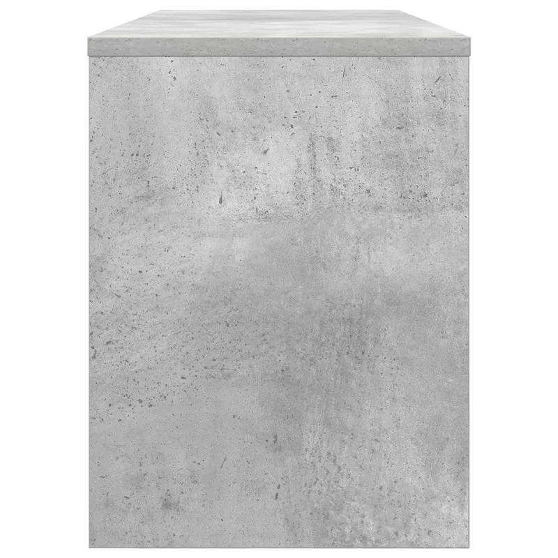 Televizoriaus spintelė Betono pilka 100 x 30 x 40 cm