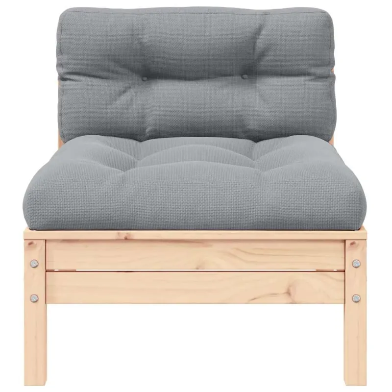 Dvivietė sodo sofa su pilkomis pagalvėlėmis, pušies masyvas