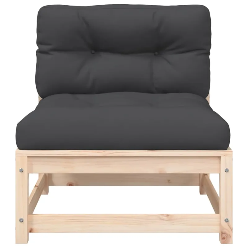 Dvivietė sodo sofa su pagalvėlėmis, pušies medienos masyvas