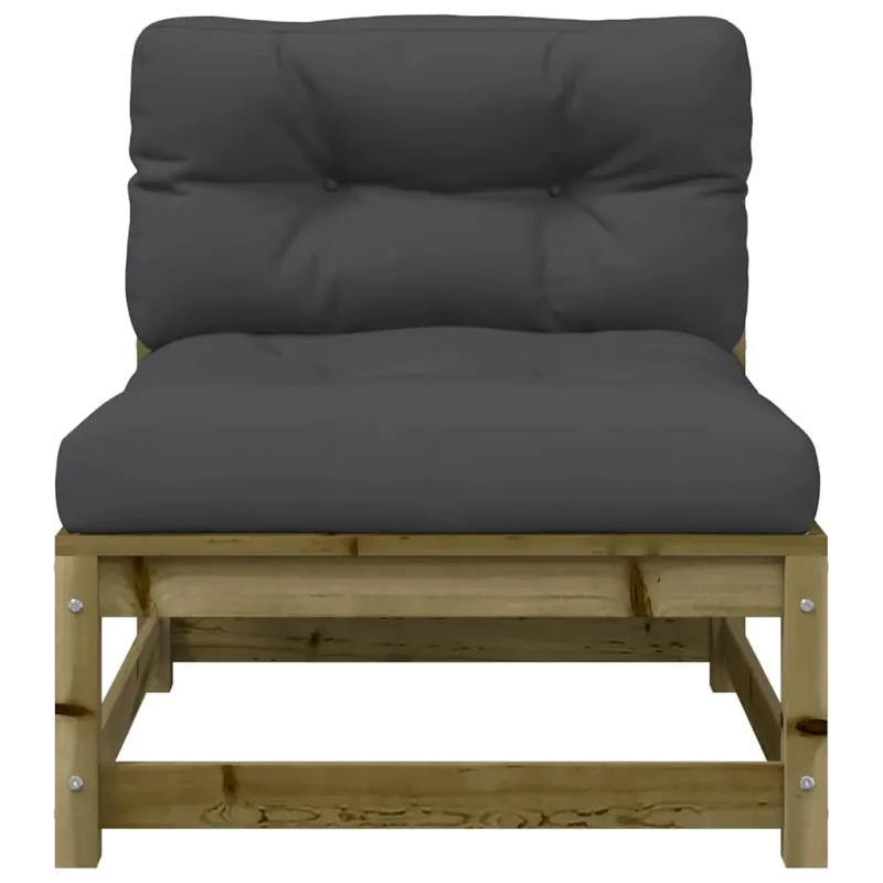 Dvivietė sodo sofa su pagalvėlėmis, impregnuota pušies mediena