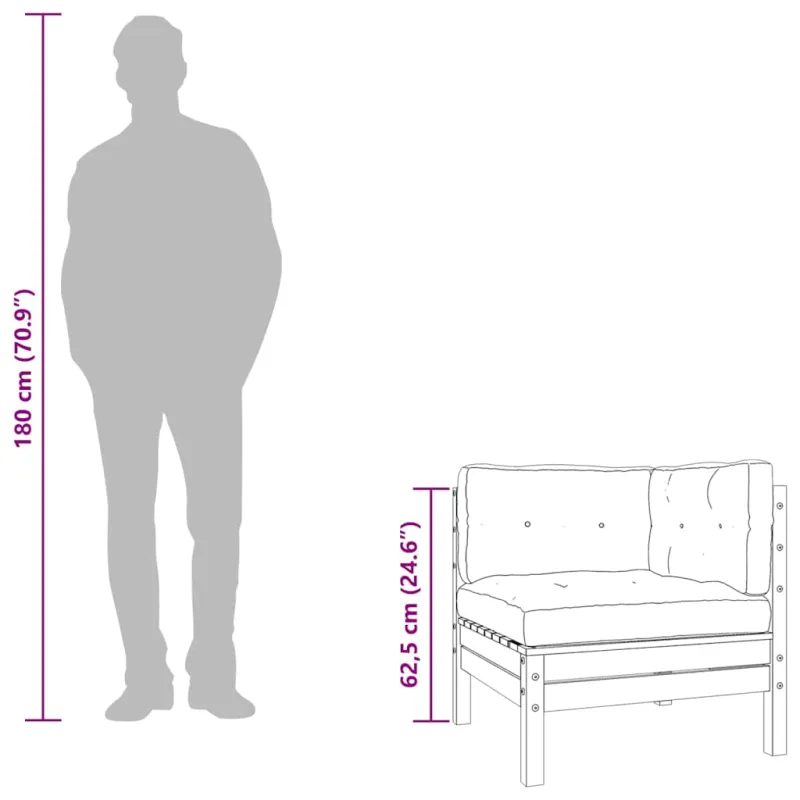 Dvivietė sodo sofa su pagalvėlėmis ir pakoja