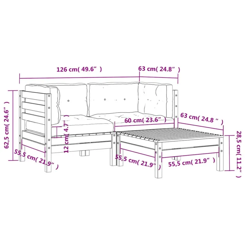 Dvivietė sodo sofa su pagalvėlėmis ir pakoja