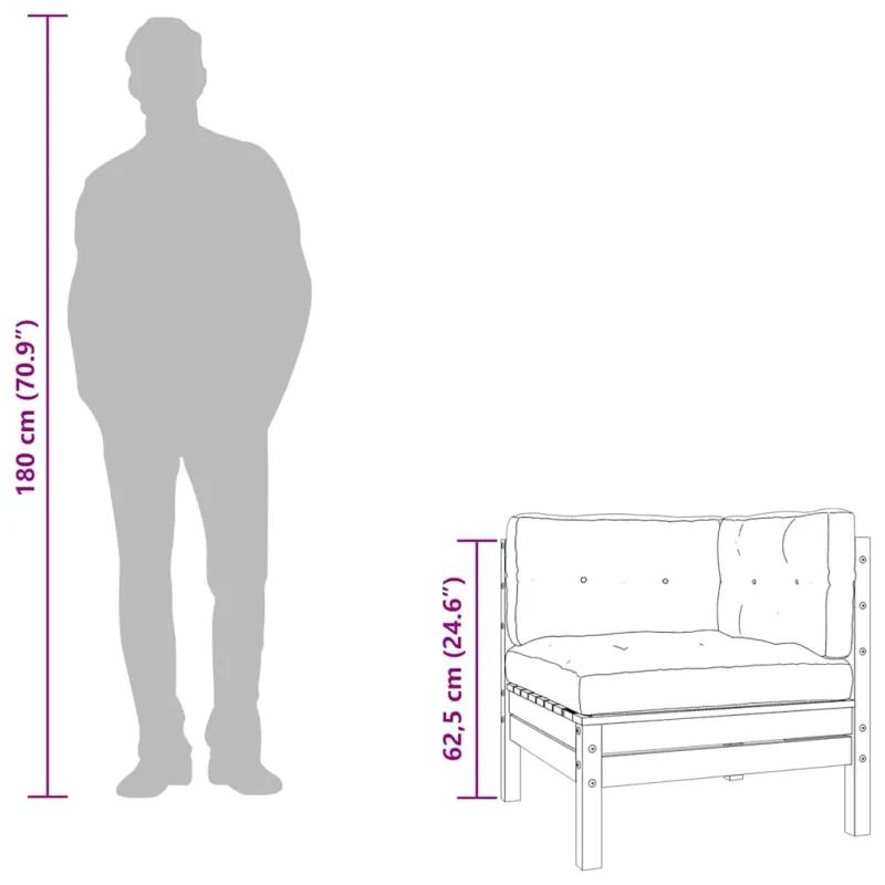 Dvivietė sodo sofa su pagalvėlėmis ir pakoja