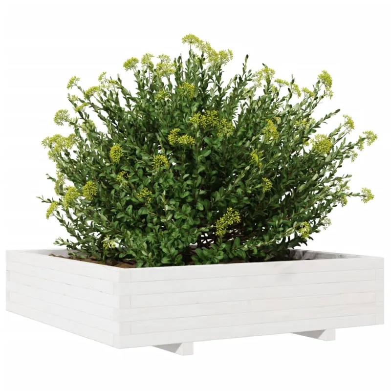 Sodo lovelis, baltas, 100x100x26,5cm, pušies medienos masyvas