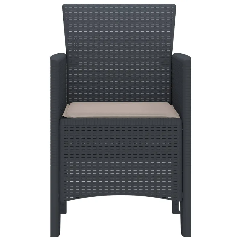 Sodo Kėdė 4 pcs Antracitas 53 x 49 x 85 cm Polipropilenas