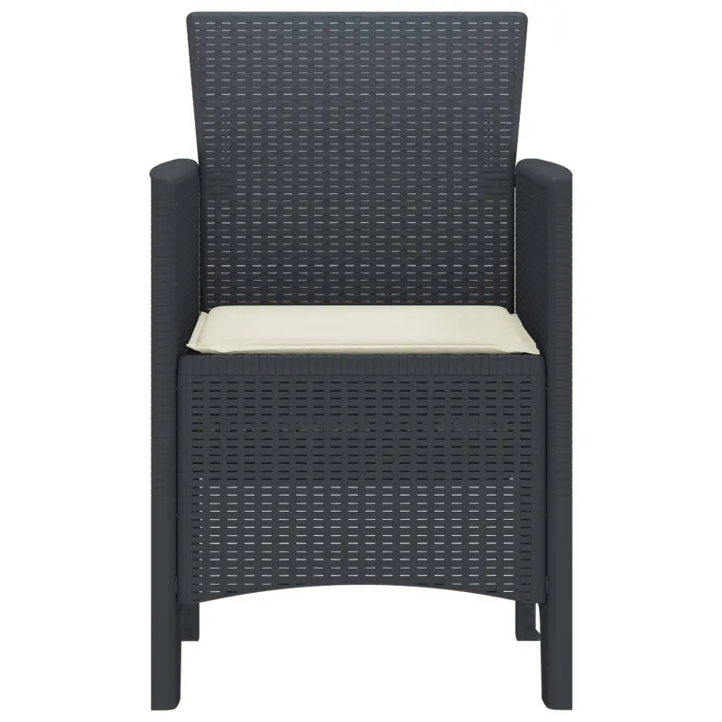 Sodo Kėdė 4 pcs Antracitas 53 x 49 x 85 cm Polipropilenas
