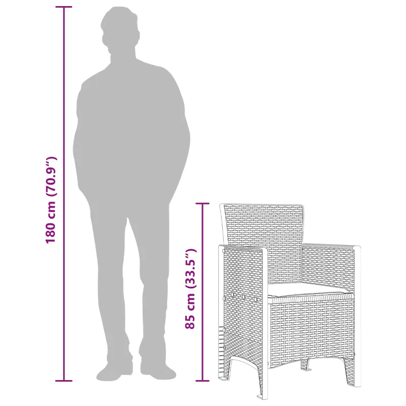 Sodo Kėdė su pagalve 4 pcs Ruda 53 x 49 x 85 cm Polipropilenas