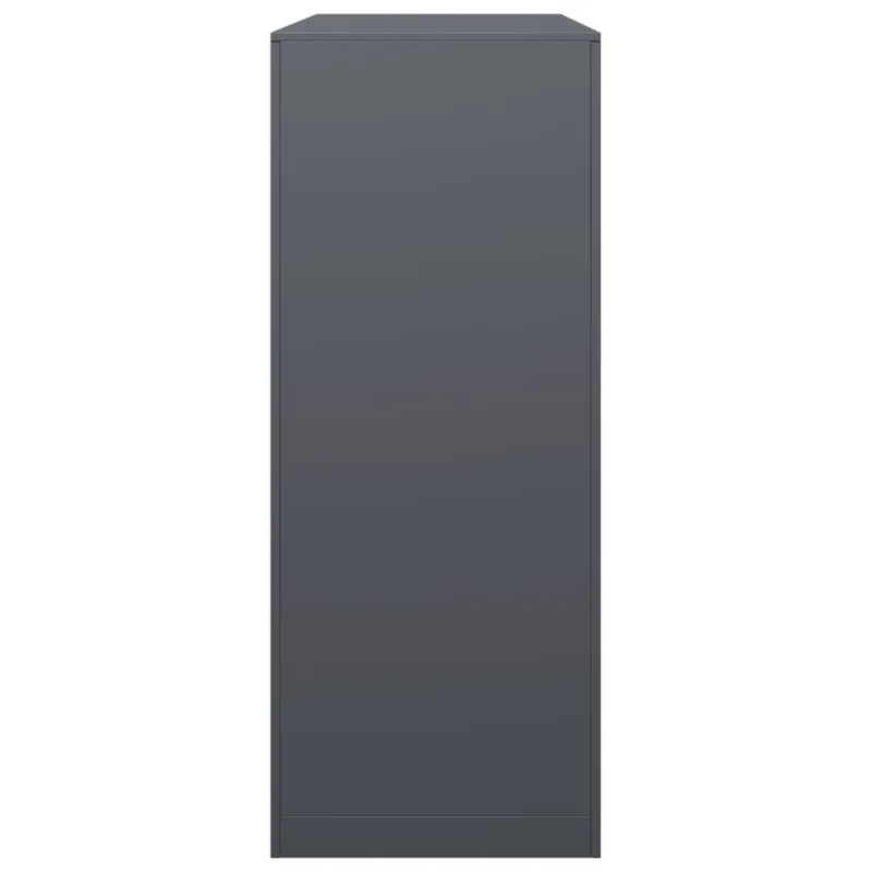 Stovas malkoms, antracito spalvos, 100x40x100cm, plienas