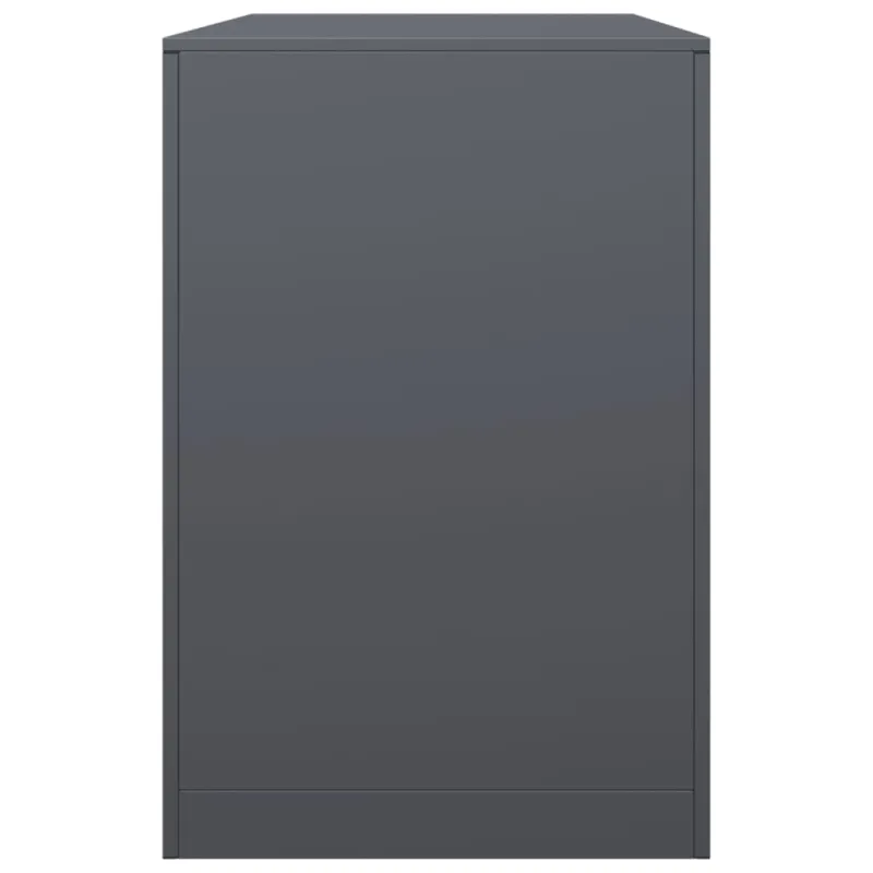 Stovas malkoms, antracito spalvos, 100x40x60cm, plienas