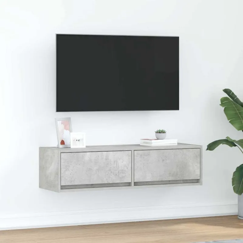 Televizoriaus spintelė Betono pilka 100 x 31 x 25,5 cm