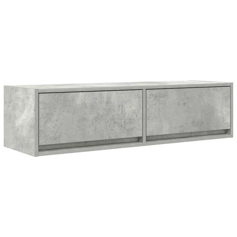 Televizoriaus spintelė Betono pilka 100 x 31 x 25,5 cm