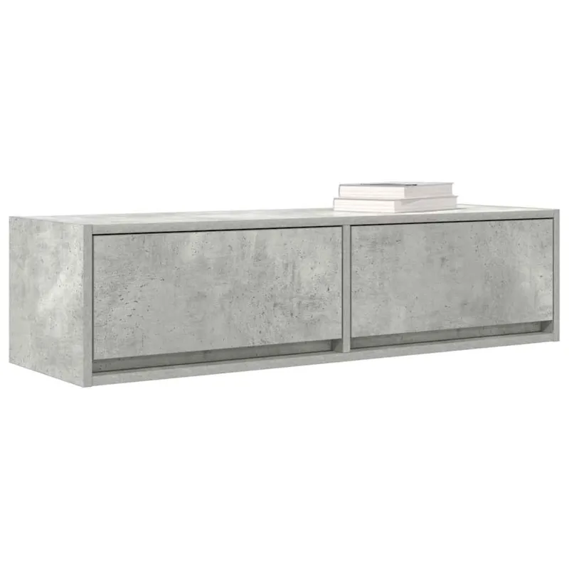 Televizoriaus spintelė Betono pilka 100 x 31 x 25,5 cm